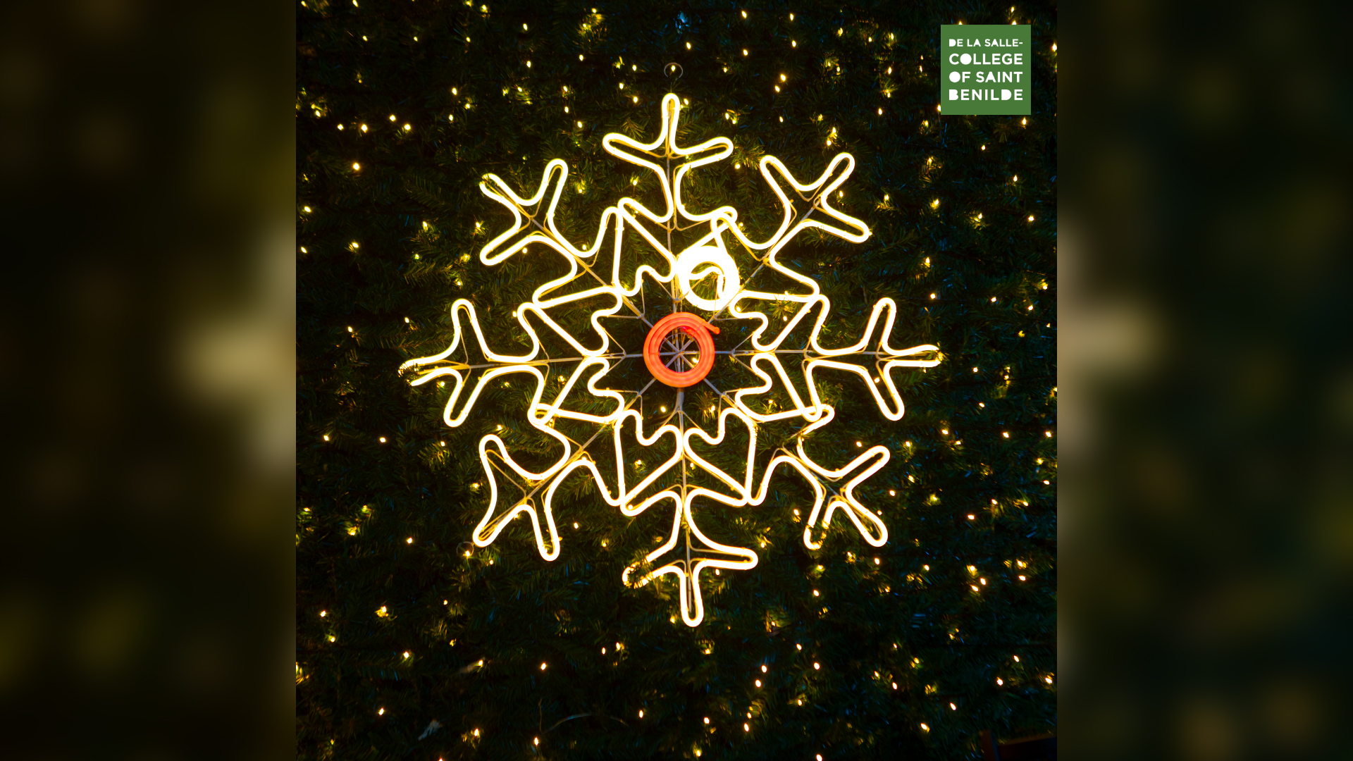 Social Media post - 3