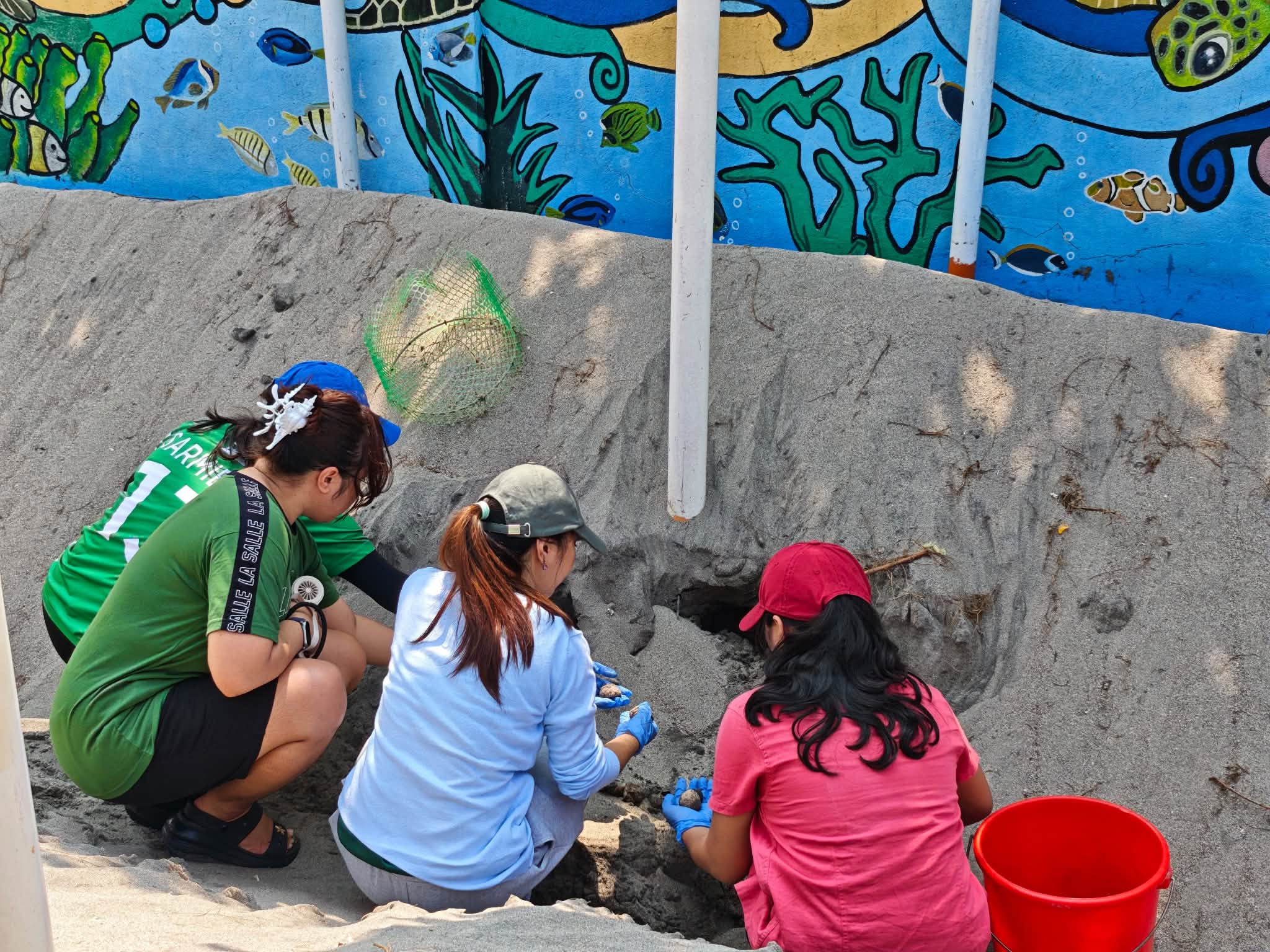 Waves of Life An Immersion in Pawikan Conservation September 2026 828987574_122195003666840709_6925030507898700418_n